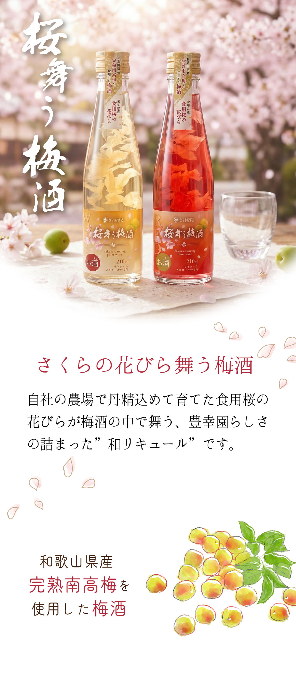 umeshu001